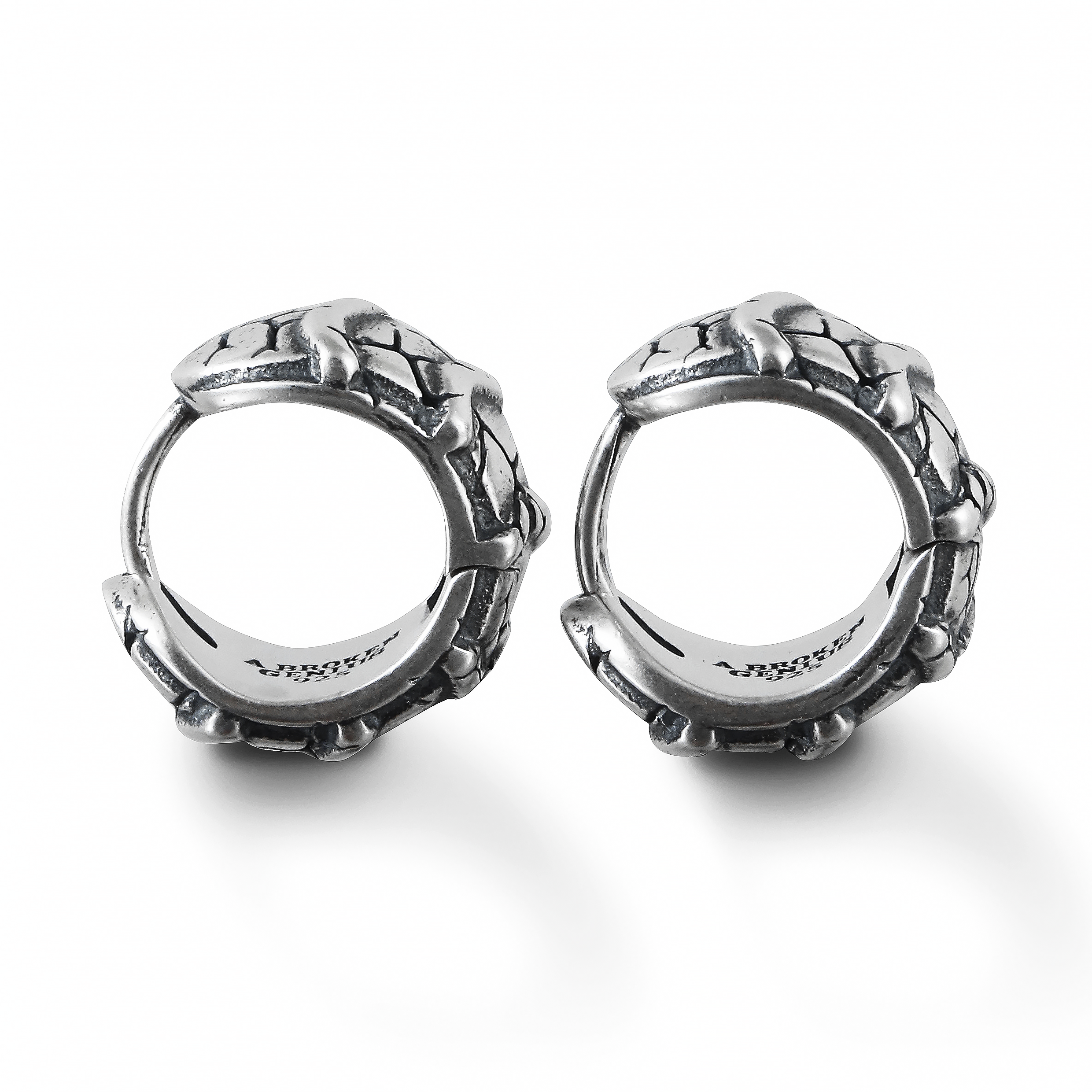 Prism Glow Earrings |  art01