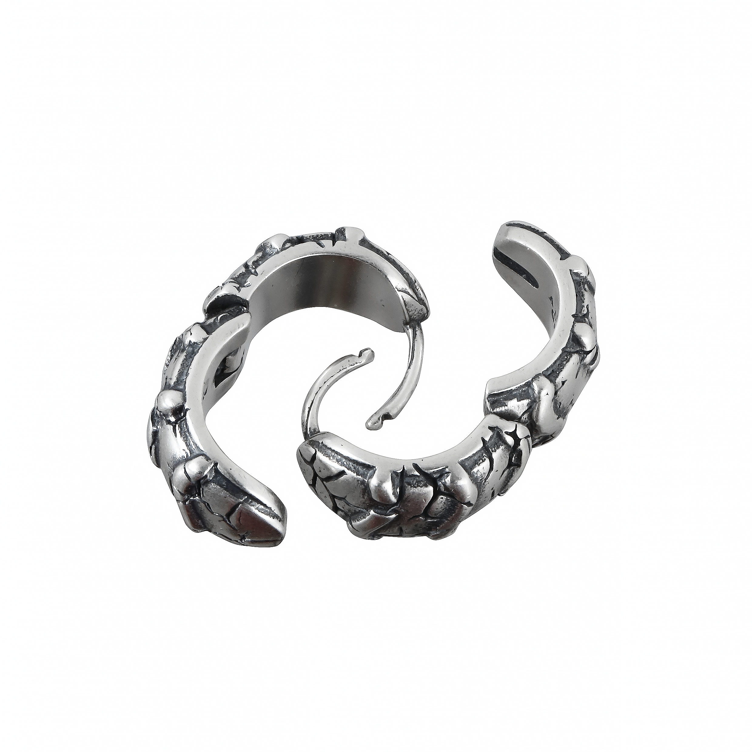 Prism Glow Earrings |  art01