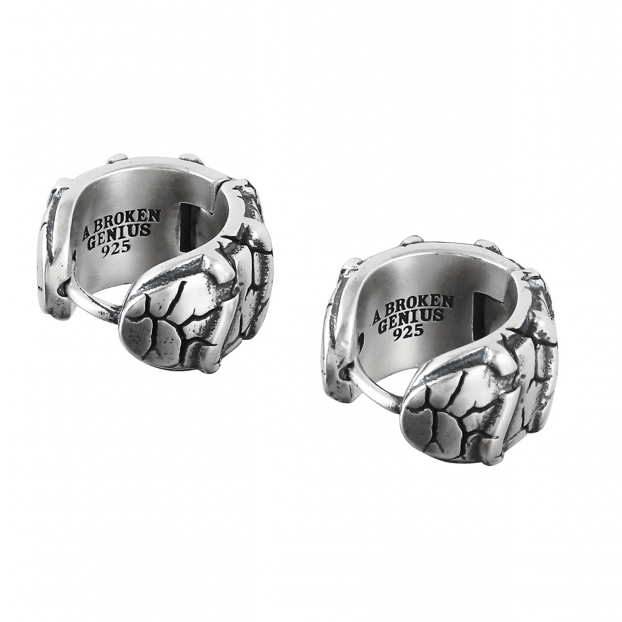 Prism Glow Earrings |  art01